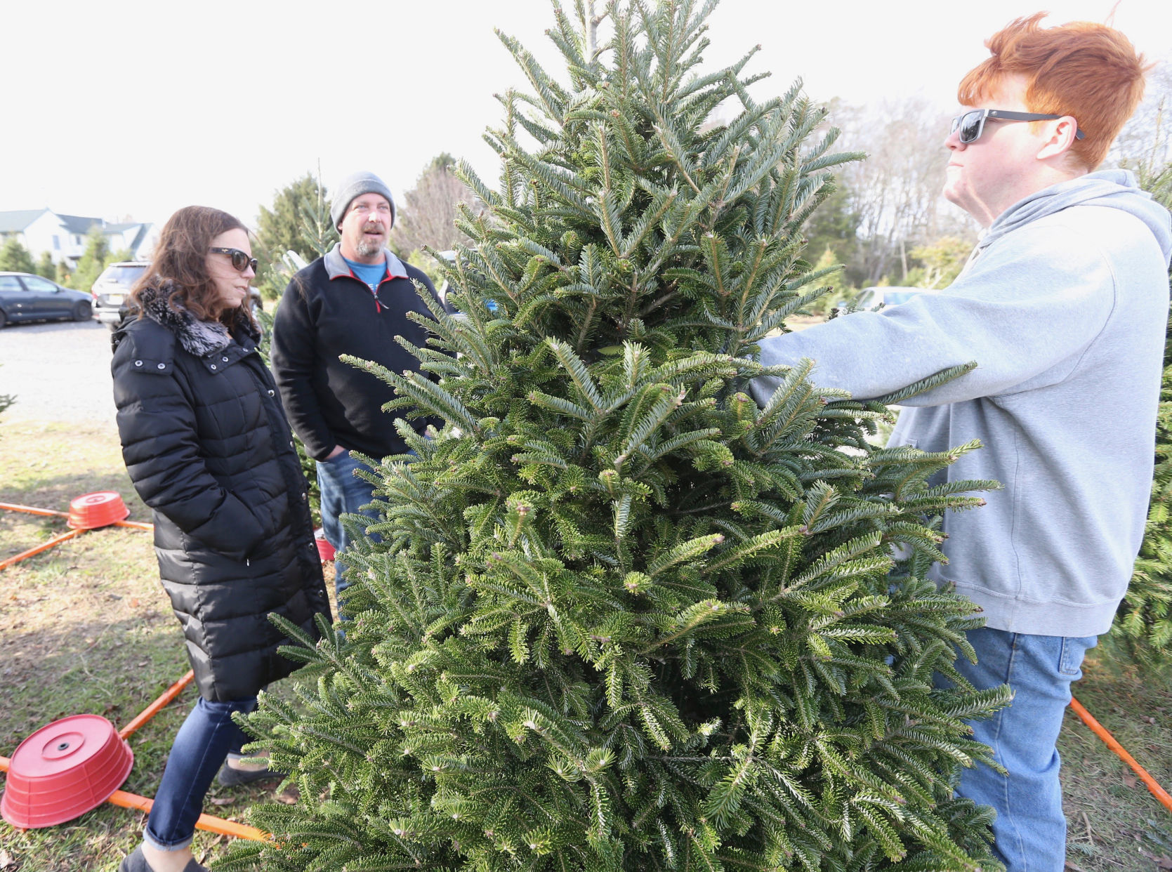 Littleworth Christmas Tree Farm